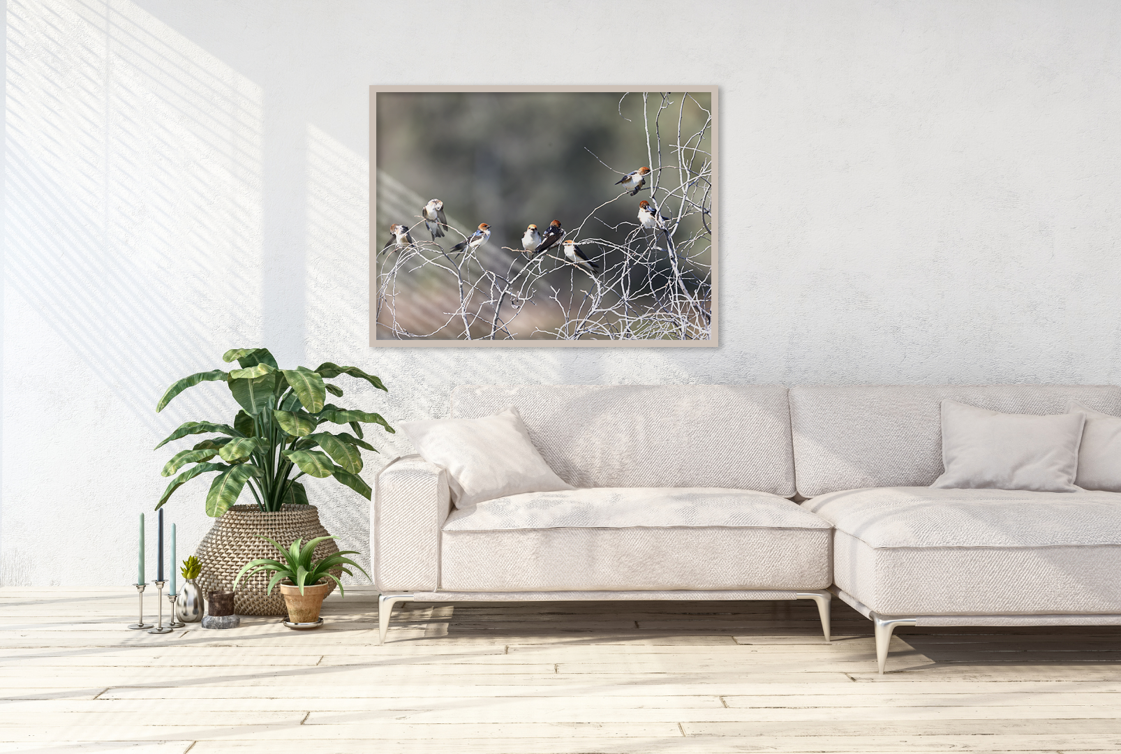 Swallows original abstract contextualised office art modern decor photo print by Blair Montague Drake